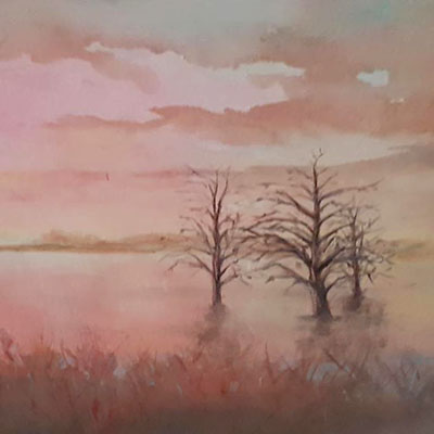 Evening mist by Ian Jones