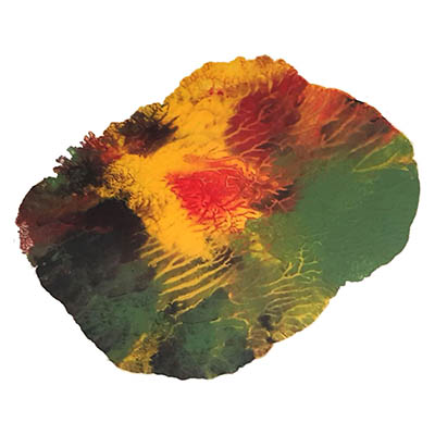 Forest Fire by Elaine Holmes
