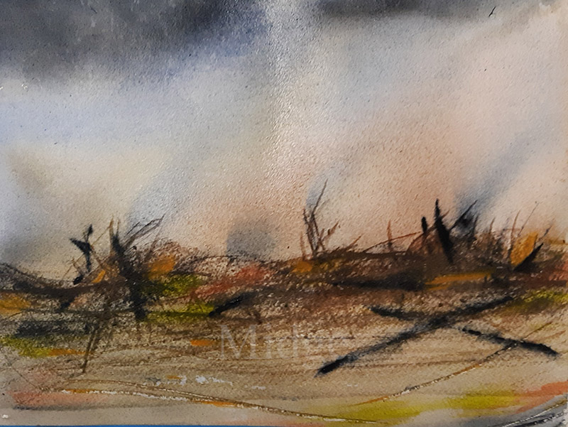Wendy Shelmerdine 3