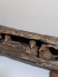 Gallery News 68 pottery baby birds in a log